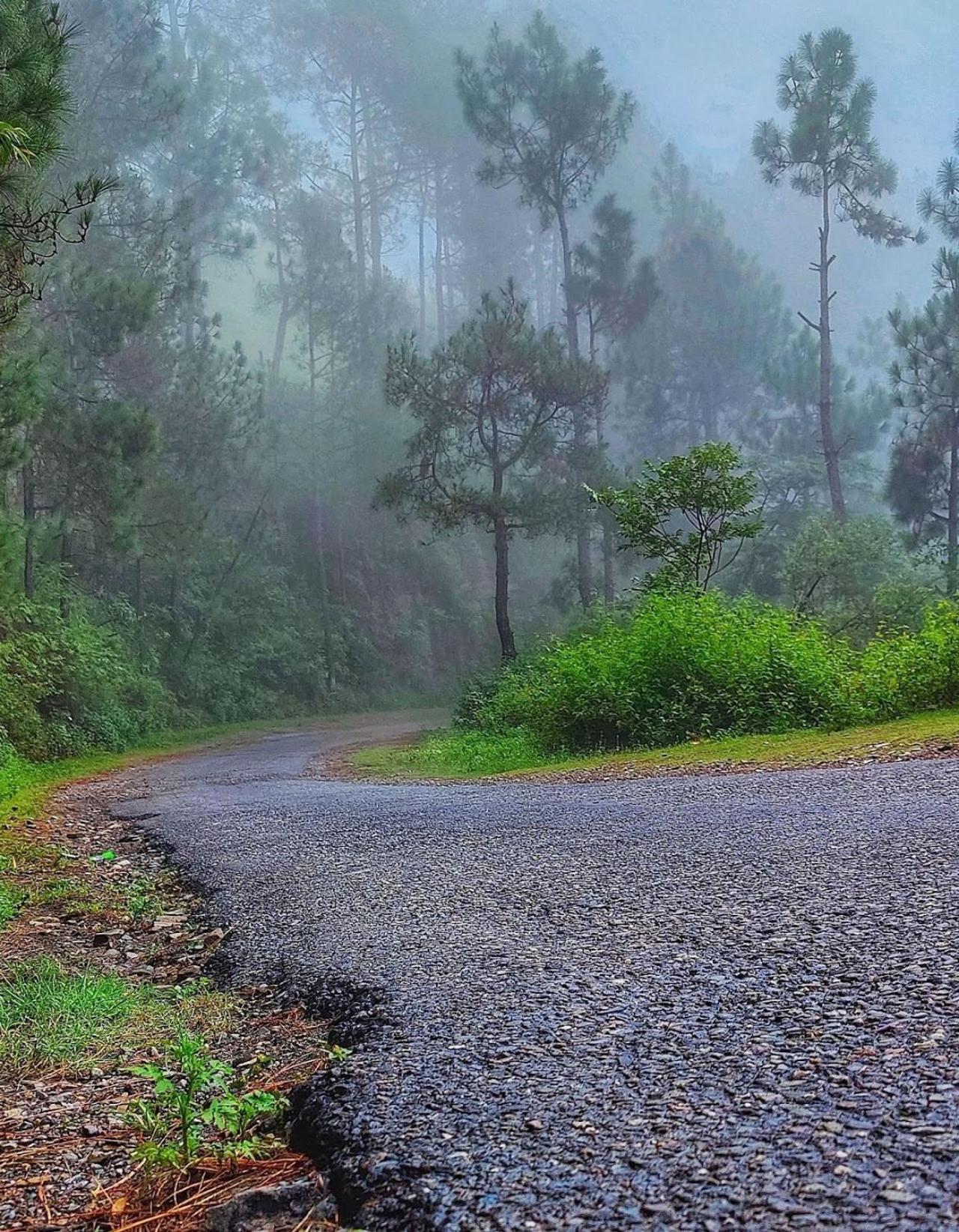 Kabana De Nature Rājgarh Buitenkant foto
